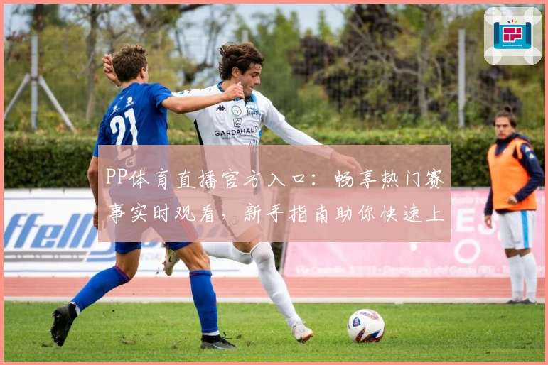 PP体育直播官方入口：畅享热门赛事实时观看，新手指南助你快速上手
