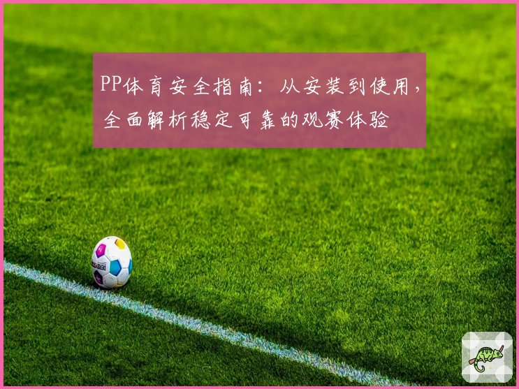 PP体育安全指南：从安装到使用，全面解析稳定可靠的观赛体验
