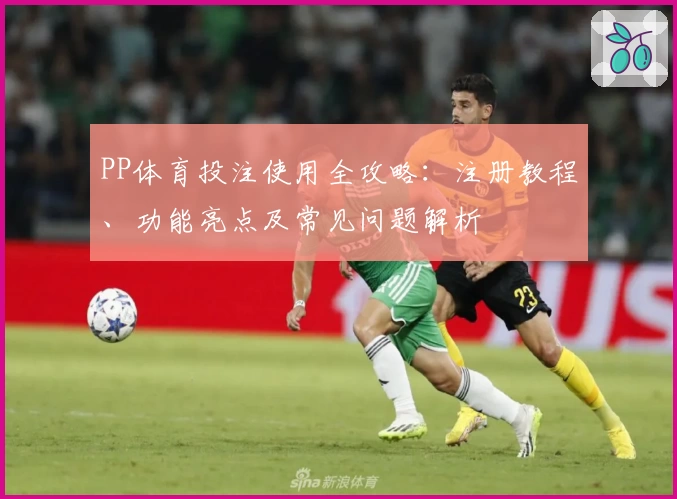 PP体育投注使用全攻略：注册教程、功能亮点及常见问题解析